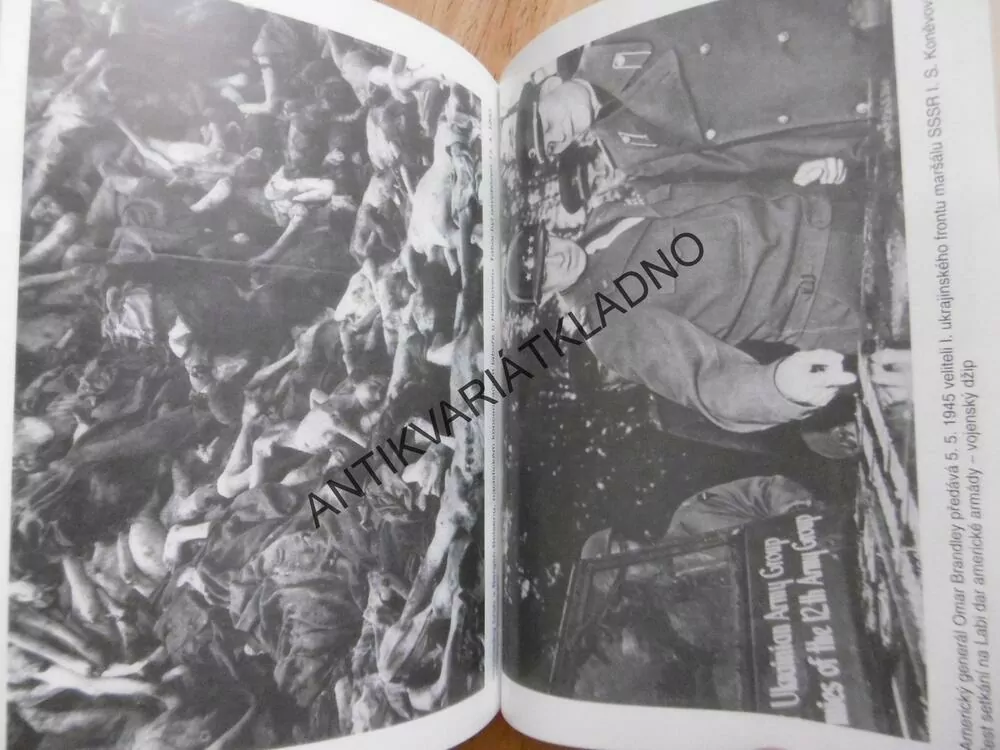 HITLERŮV MŮJ BOJ OČIMA HISTORIKŮ, MEIN KAMPF, **an