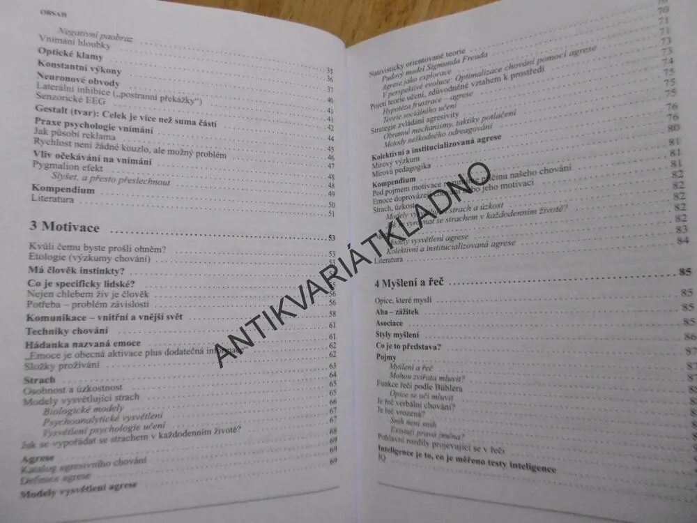 PŘEHLED PSYCHOLOGIE, HANS KERN A KOLEKTIV, **an
