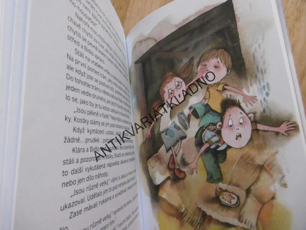 ZTRACENÝ AEROPLÁN, PAVEL VALACH, JURAJ MARTIŠKA, **an