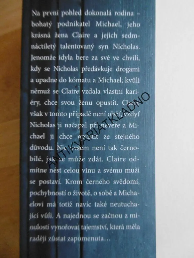 POD POVRCHEM, STACY ROBINSONOVÁ **an