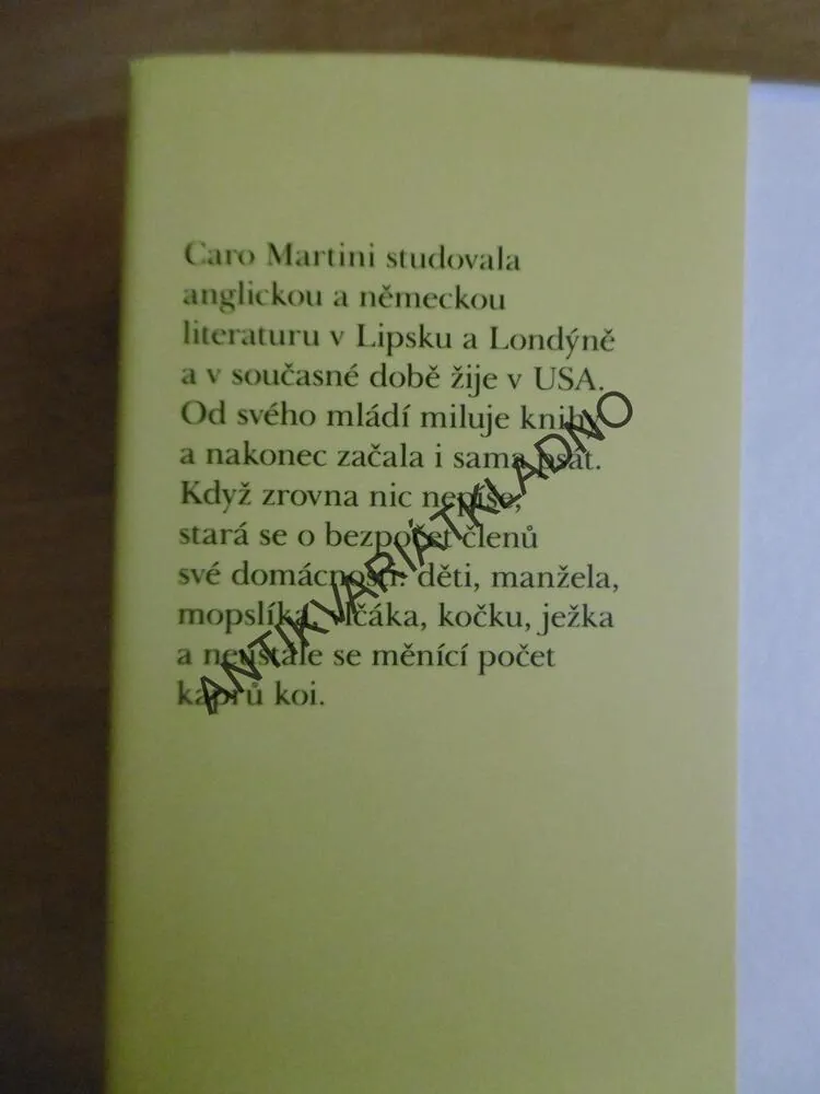 ZÁMĚNA, CARO MARTINI, **an