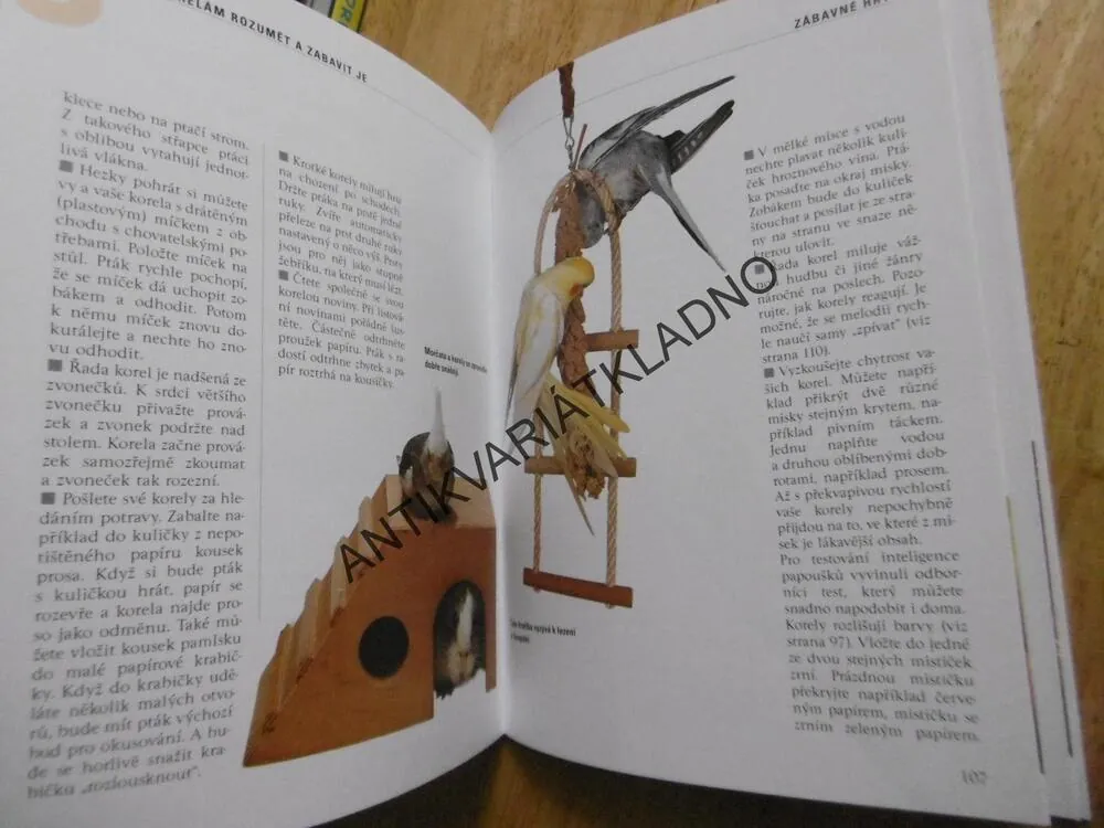 NAŠE KORELA, JAK CHOVAT, KRMIT, SPRÁVNĚ ROZUMĚT. THOMAS HAUPT, **an