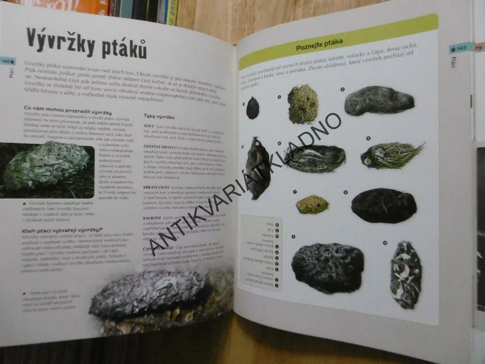 JAK ČÍST STOPY ZVÍŘAT,STOPY VÍCE NEŽ 400 DRUHŮ ŽIVOČICHŮ, JINNY JOHNSONOVÁ, **an