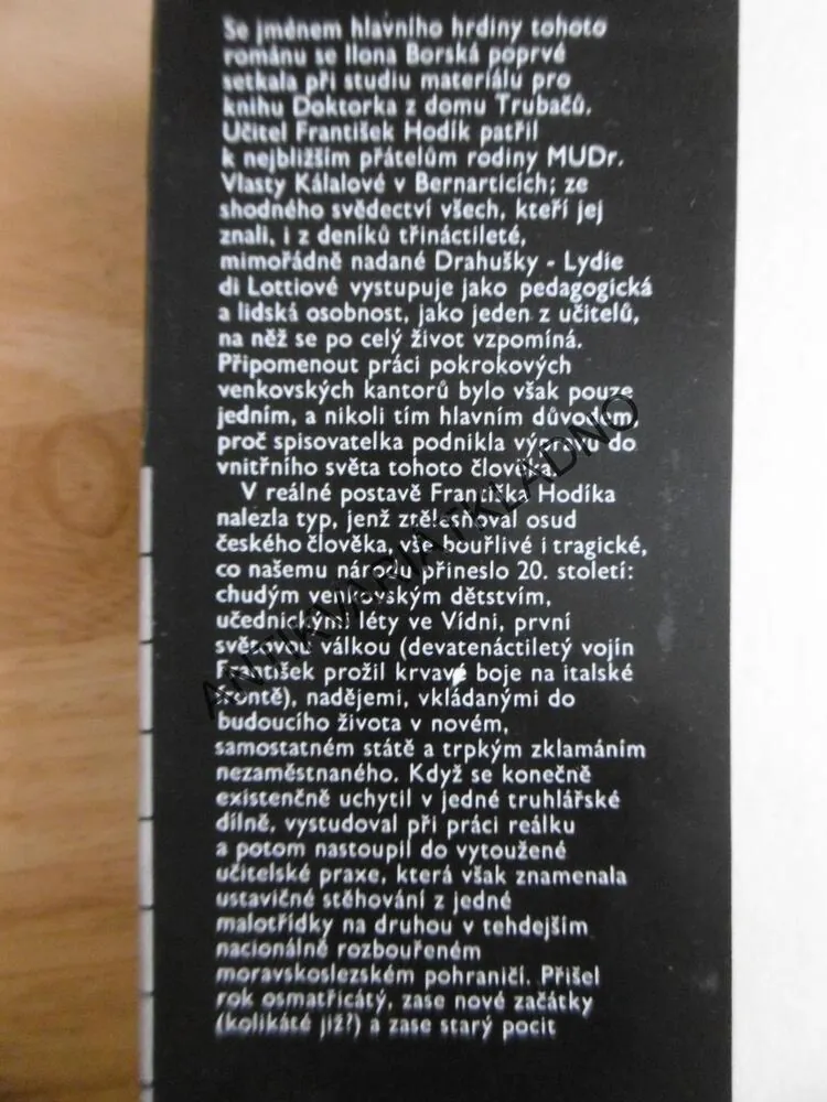 OSUD JEDNOHO ČECHA,ILONA BORSKÁ, 1984,**an