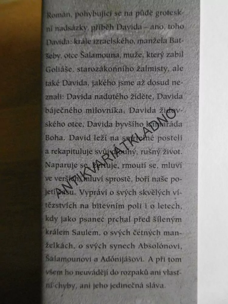 BŮH VÍ, JOSEPH HELLER, **an