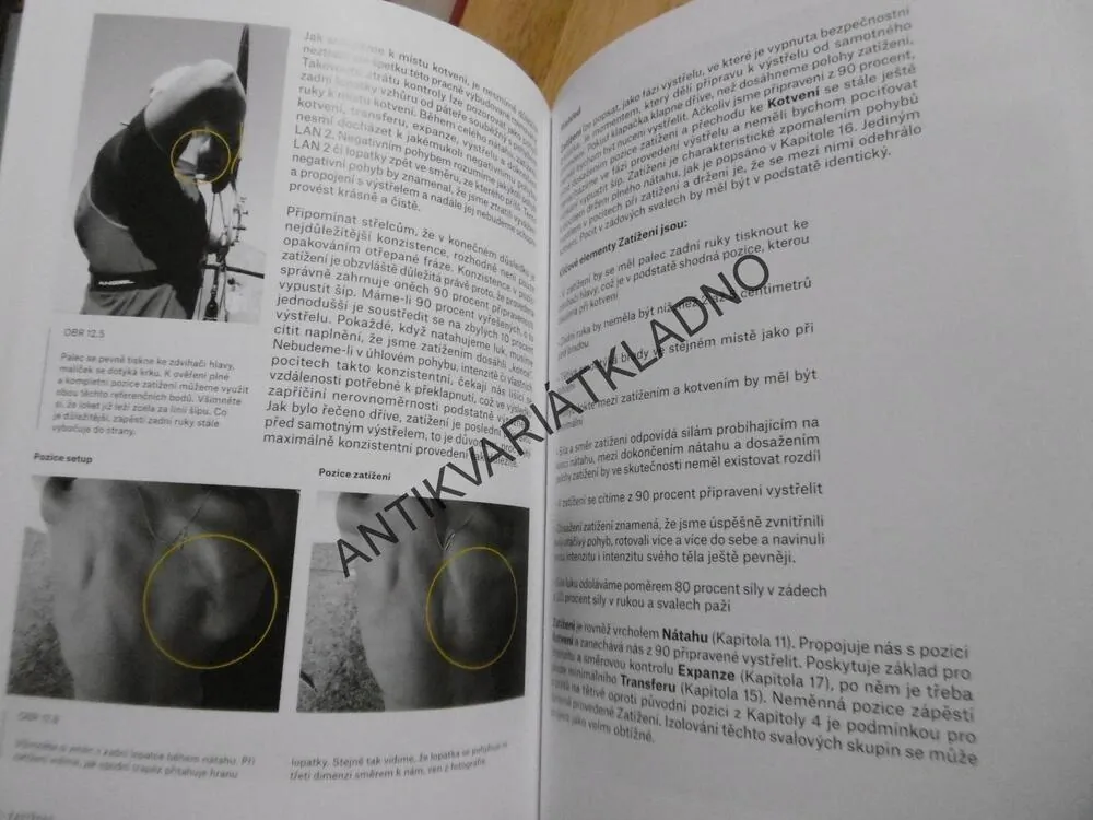 V NITRU LUKOSTŘELCE,Z REFLEXNÍHO LUKU, KISIK LEE, BENNER, SPORTOVNÍ STŘELBA, ZBRANĚ,