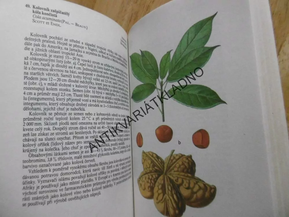 ATLAS CIZOKRAJNÝCH ROSTLIN, JARMILA MLADÁ, FRANTIŠEK PROCHÁZKA,**an