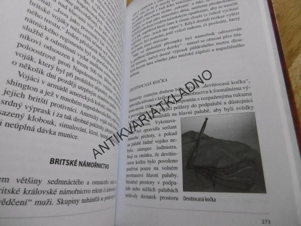NEJKRUTĚJŠÍ METODY MUČENÍ V DĚJINÁCH, MARK P. DONNELLY, DANIEL DIEHL, **an
