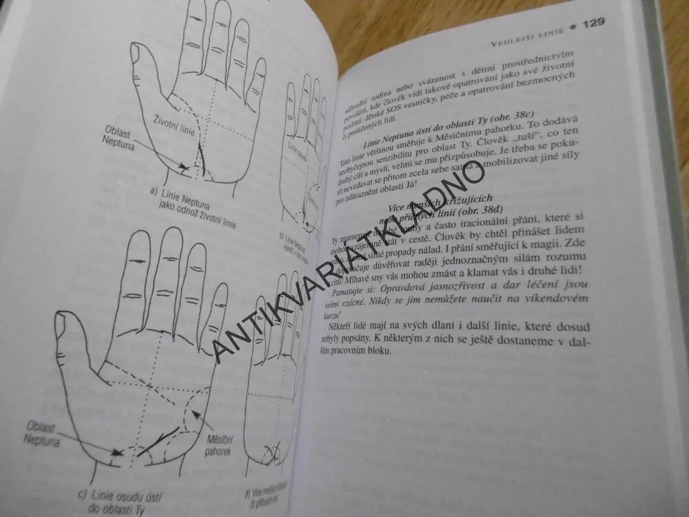 VÝKLAD Z RUKY, PRAKTICKÁ CVIČENÍ, CHRISTIANE EISLER-MERTZOVÁ,