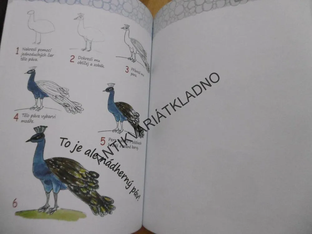 UČÍME SE KRESLIT NEJEN ZVÍŘÁTKA KROK ZA KROKEM,MALOVÁNÍ, KRESLENÍ,