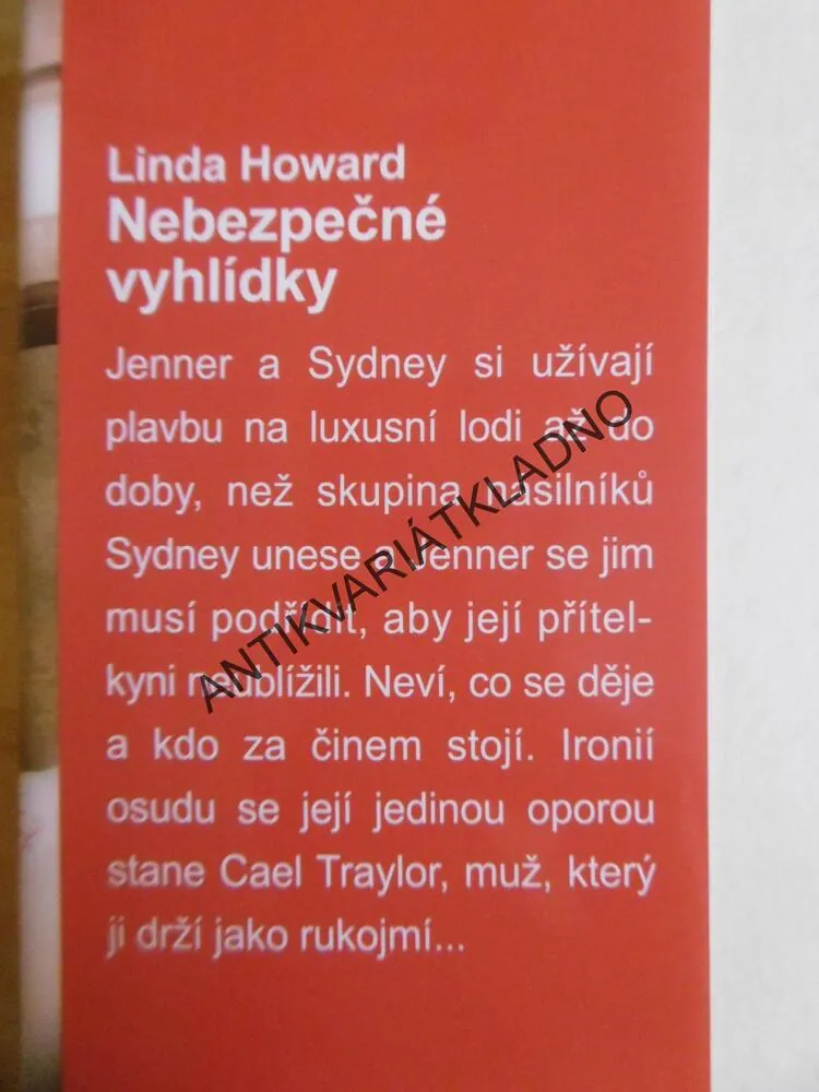NEBEZPEČNÉ VYHLÍDKY, LINDA HOWARD, **an