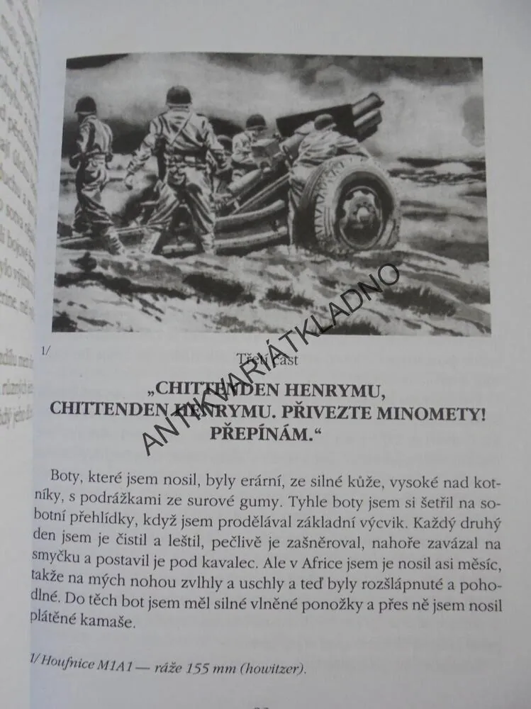 VÍTĚZSTVÍ V AFRICE, RALPH INGERSOLL, VÁLKA, **an