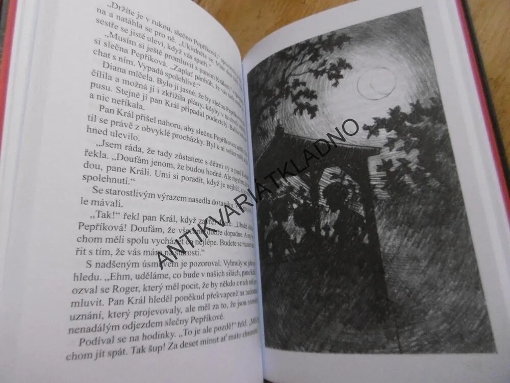 ZÁHADA PAVOUČÍHO DOMU, ENID BLYTONOVÁ, **an