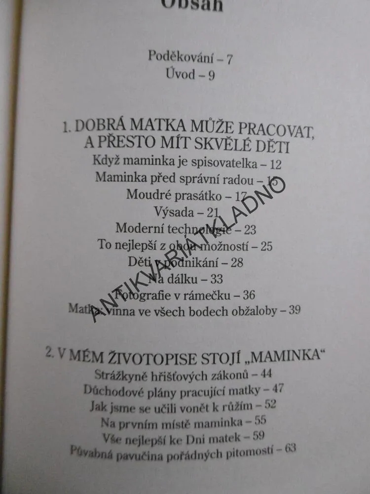 SLEPIČÍ POLÉVKA PRO PRACUJÍCÍ MÁMU,**an
