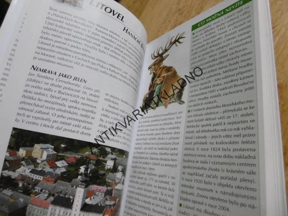 ZA STRAŠIDLY DO MĚST A MĚSTEČEK, P. DAVID, VLADIMÍR SOUKUP, **an