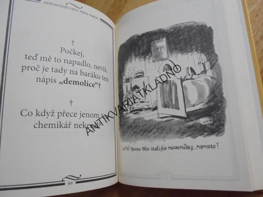 NEJČASTĚJŠÍ VĚTY PŘED SMRTÍ, KAPOUN, **an