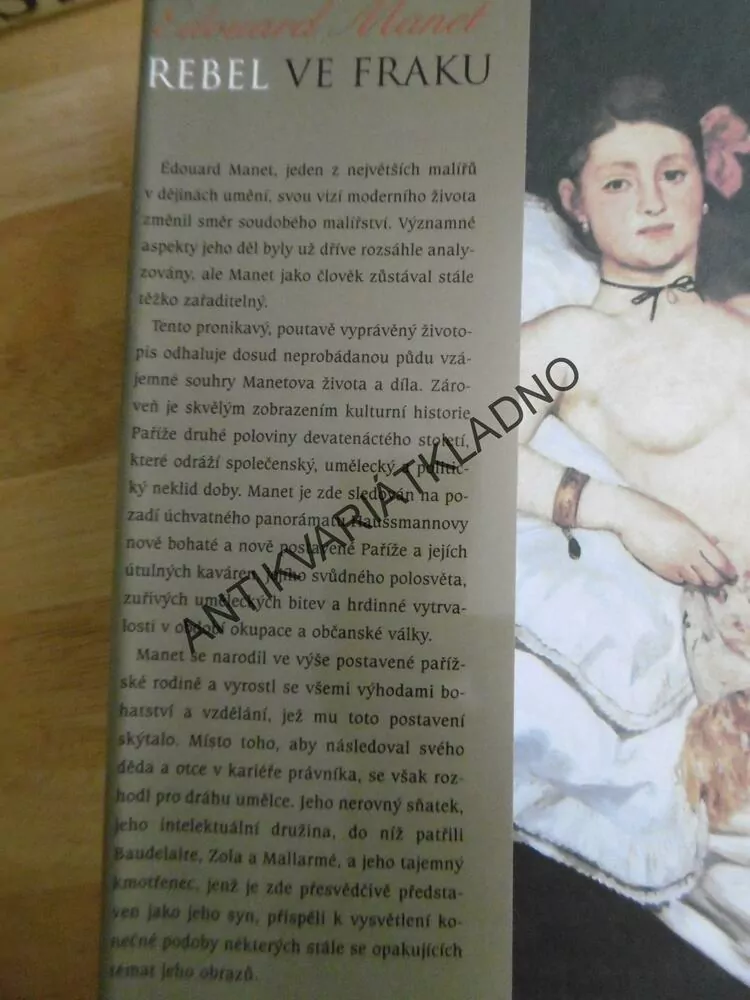 EDOUARD MANET, REBEL VE FRAKU, BETH ARCHER BROMBERTOVÁ, **an