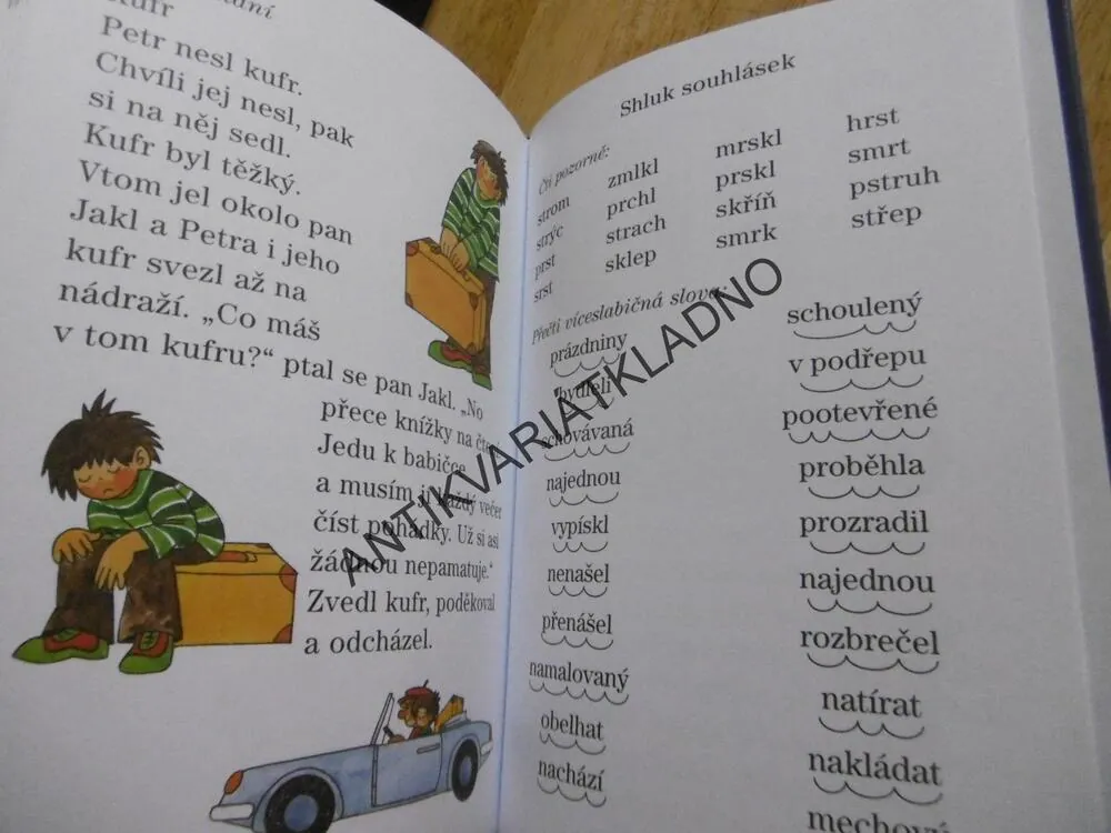 PRVNÍ ČTENÍ PÍSMENA, SLABIKY SLOVA TEXTY, VLASTA BLUMENTRITTOVÁ, EDITA PLICKOVÁ, **an