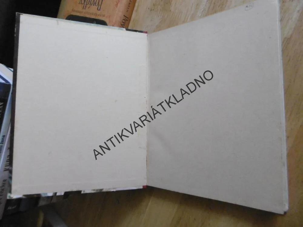 ORLÍ SRDCE, V. ZÍKA, M. NOVÁK, 1942, LETECKÝ ROMÁN