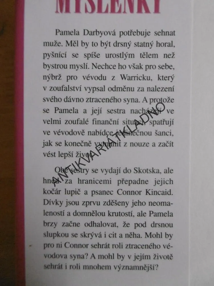 NESPOUTANÉ MYŠLENKY, TERESA MEDEIROS, **an