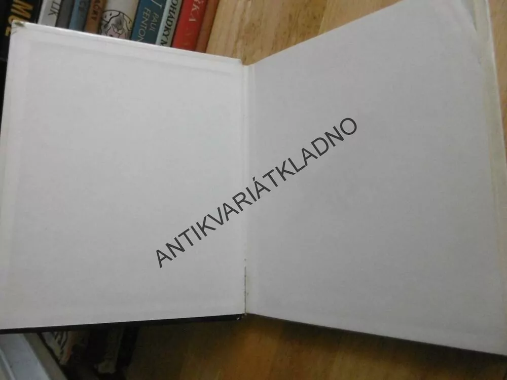 ANIČKA MALÍŘKA, EDUARD PETIŠKA, HELENA ZMATLÍKOVÁ, **an
