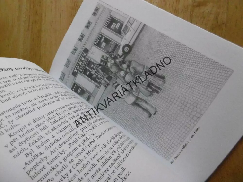 NA KLADENSKU SE KRÁSNĚ LHALO, OLGA FIKRLOVÁ, KLADNO, **an