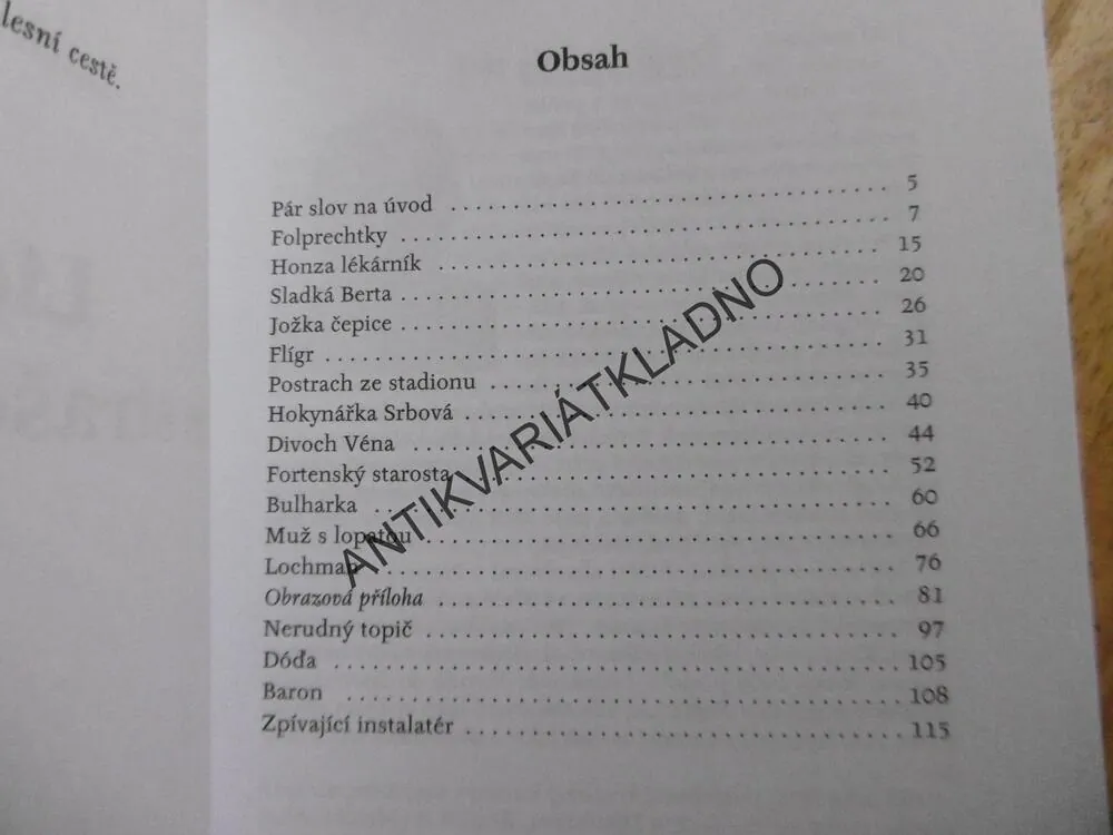 LIDIČKY ZE STRAŠECKÉ ULIČKY, LADISLAV OPLT, **an