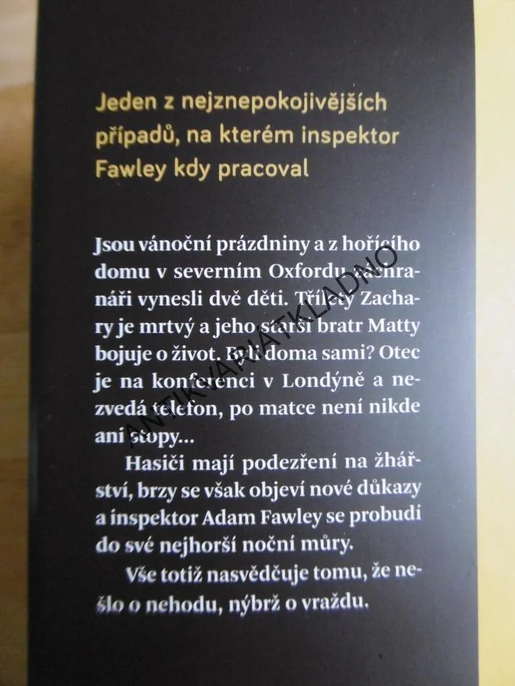 NENÍ ÚNIKU, CARA HUNTEROVÁ, **an