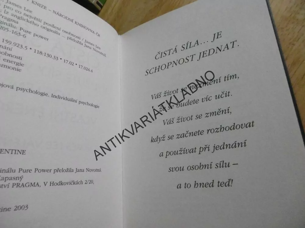 ČISTÁ SÍLA, JAMES LEE VALENTINE