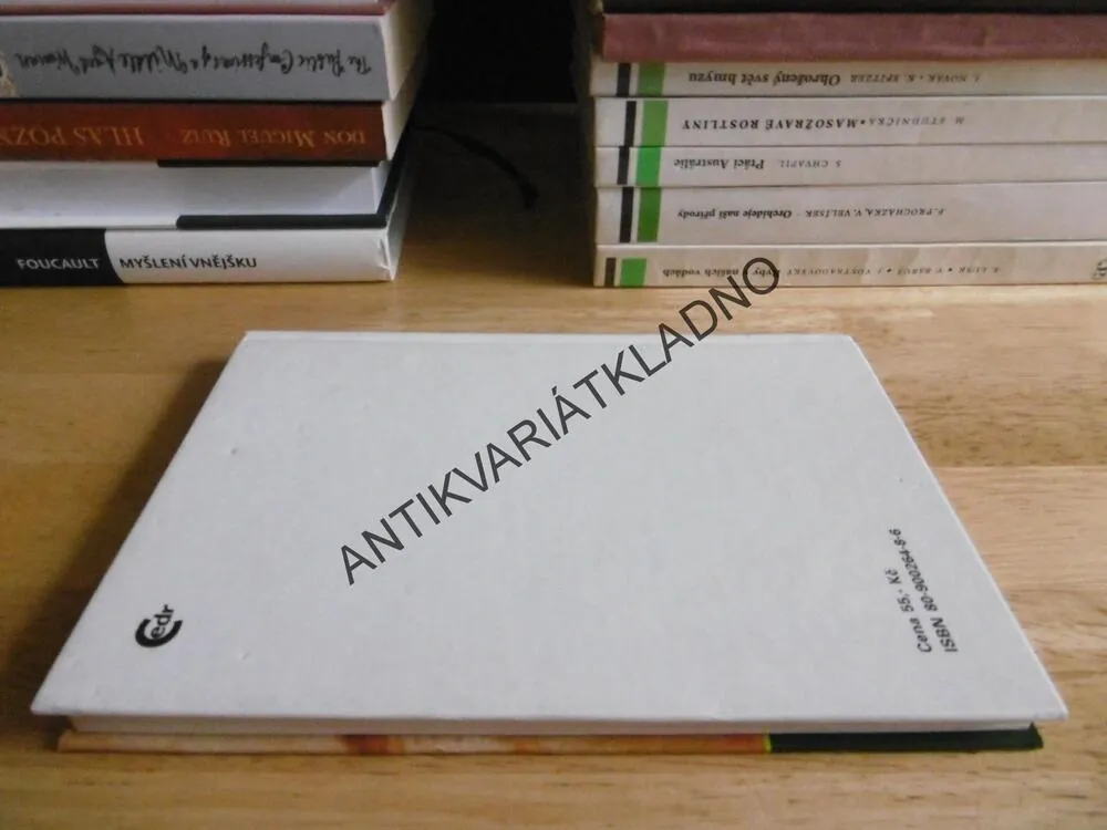 POSLEDNÍ NÁČELNÍK, BITVA NA LITTLE BIGHORNU, JOSEPH A. ALTSHELER, KONEČNÝ, **an