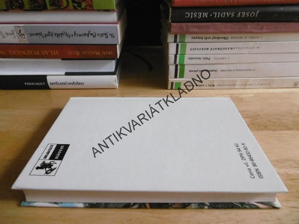 NA ZÁPAD OD APAČSKÉHO PRŮSMYKU, CHARLES ALDEN SELTZER, **an