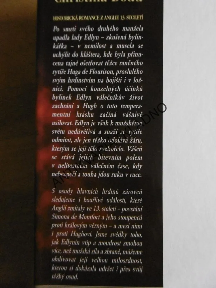 NEZAPOMENUTELNÝ RYTÍŘ, CHRISTINA DODDOVÁ, **an