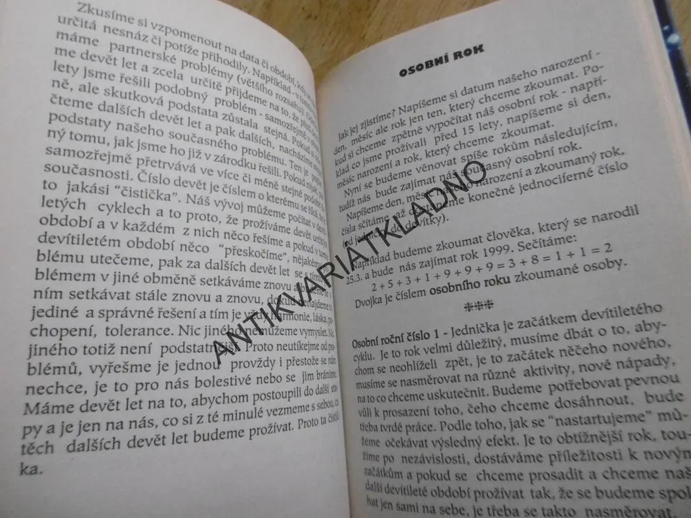 NUMEROLOGIE, CESTA K SEBEPOZNÁNÍ, ŠÁRKA SEHNALOVÁ,