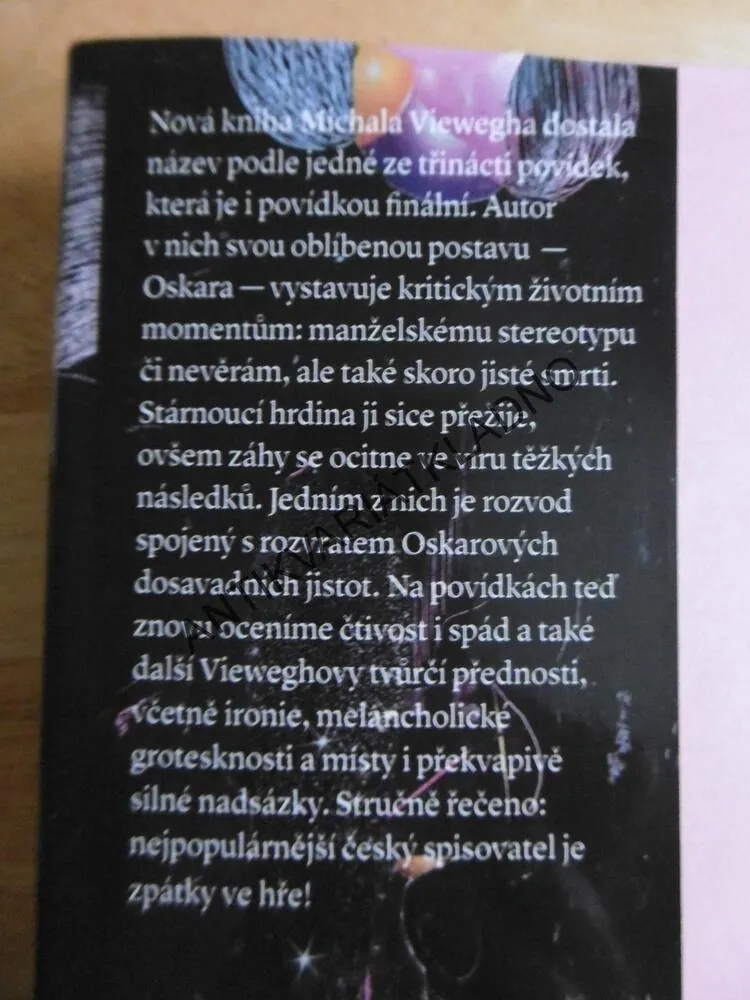 ZPÁTKY VE HŘE, MICHAL VIEWEGH, **an
