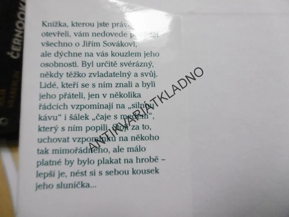 TAKOVÝ BYL JIŘÍ SOVÁK, HEREC FILM, BESSEROVÁ