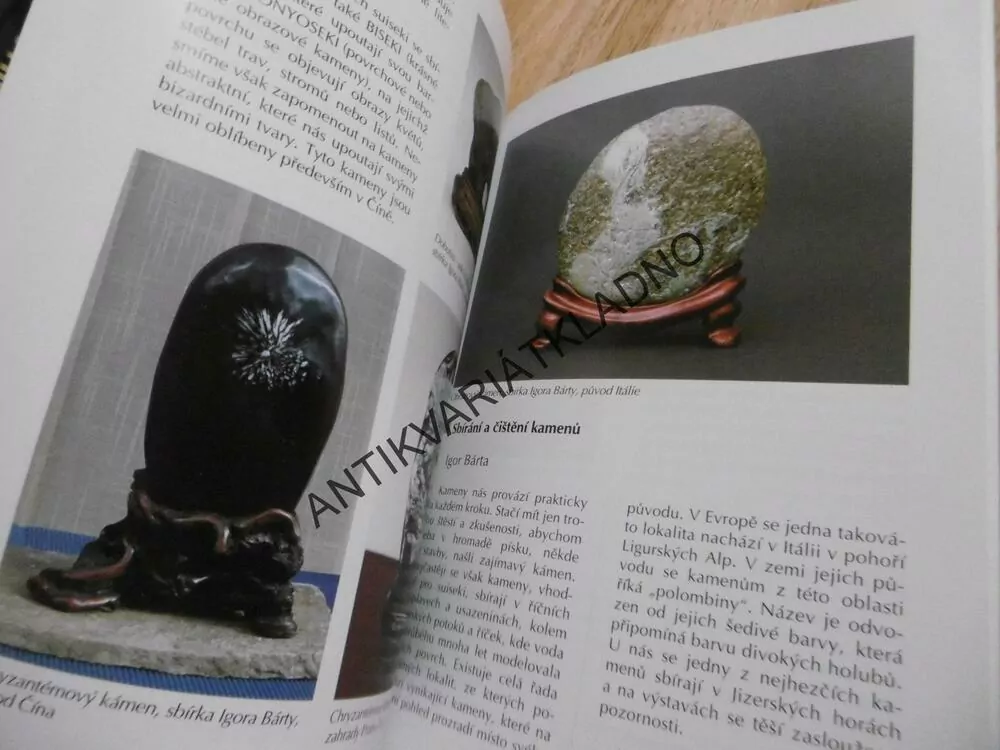 BONSAI NEJEN V PANELÁKU, JAROSLAV PIŠL, V BYTĚ NA BALKONĚ, V ZAHRADĚ, **an
