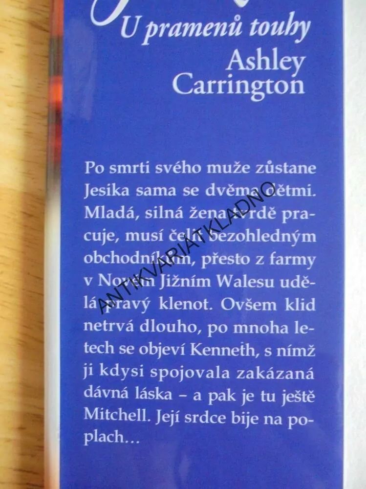 JESIKA ,U PRAMENŮ TOUHY, ASHLEY CARRINGTON