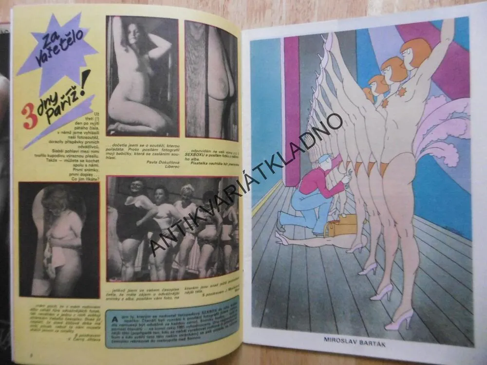 SEX BOX,6.,  MĚSÍČNÍK HUMORU O ŽENÁCH A MUŽÍCH, NEPRAKTA, 1/1990
