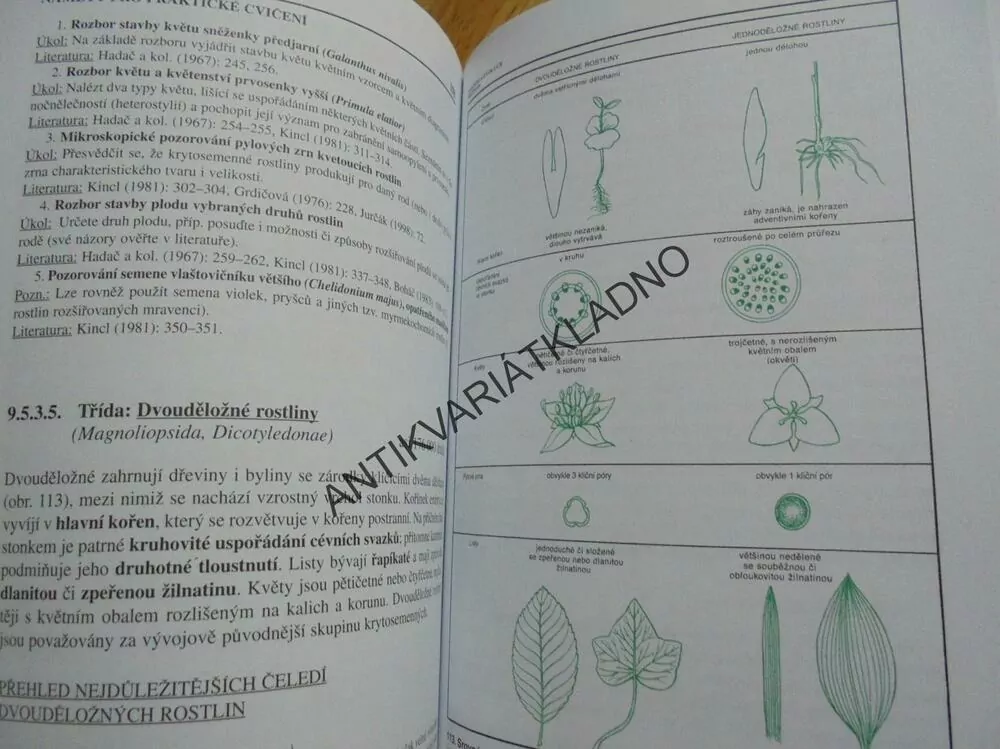 BIOLOGIE ROSTLIN, PRO GYMNÁZIA, KINCL