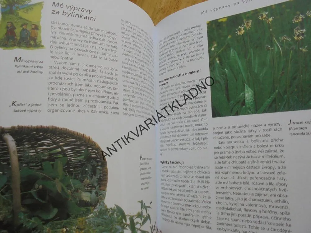 KOUZLA Z BYLINKOVÉ ZAHRÁDKY 1., ELÍXÍRY,ČAJE, MAST