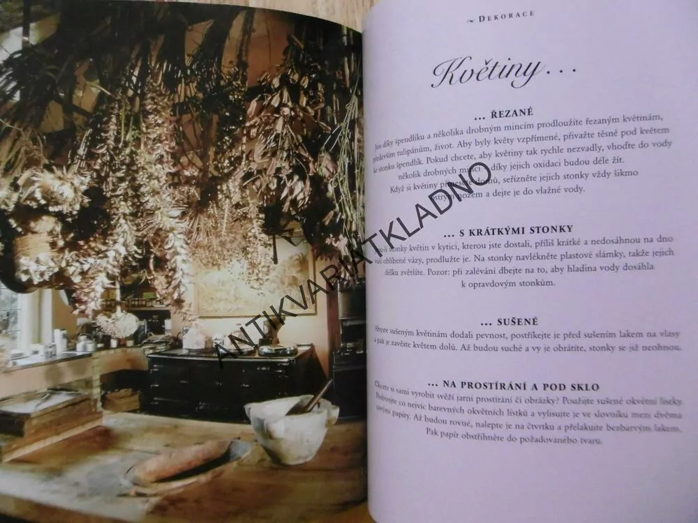 BABIČČINY DOBRÉ RADY, DOMÁCNOST, ZAHRADA, KRÁSA A ZDRAVÍ, NICOLAS PRIOU, **an