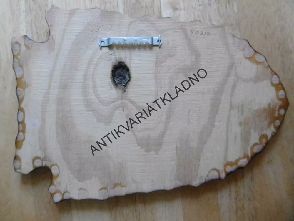 INDIÁN, INDIÁNKA , AMERIKA, NA DŘEVĚ, LAKOVANÉ,