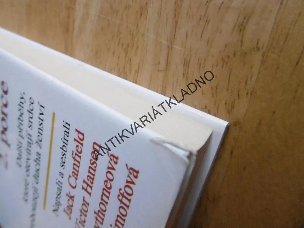 KLASICKÁ SLEPIČÍ POLÉVKA PRO ŽENSKOU DUŠI, 2. PORCE, **an