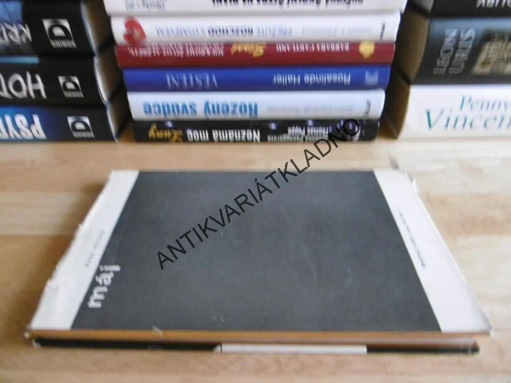 NA ZÁPADNÍ FRONTĚ KLID, ERICH MARIA REMARQUE, **an