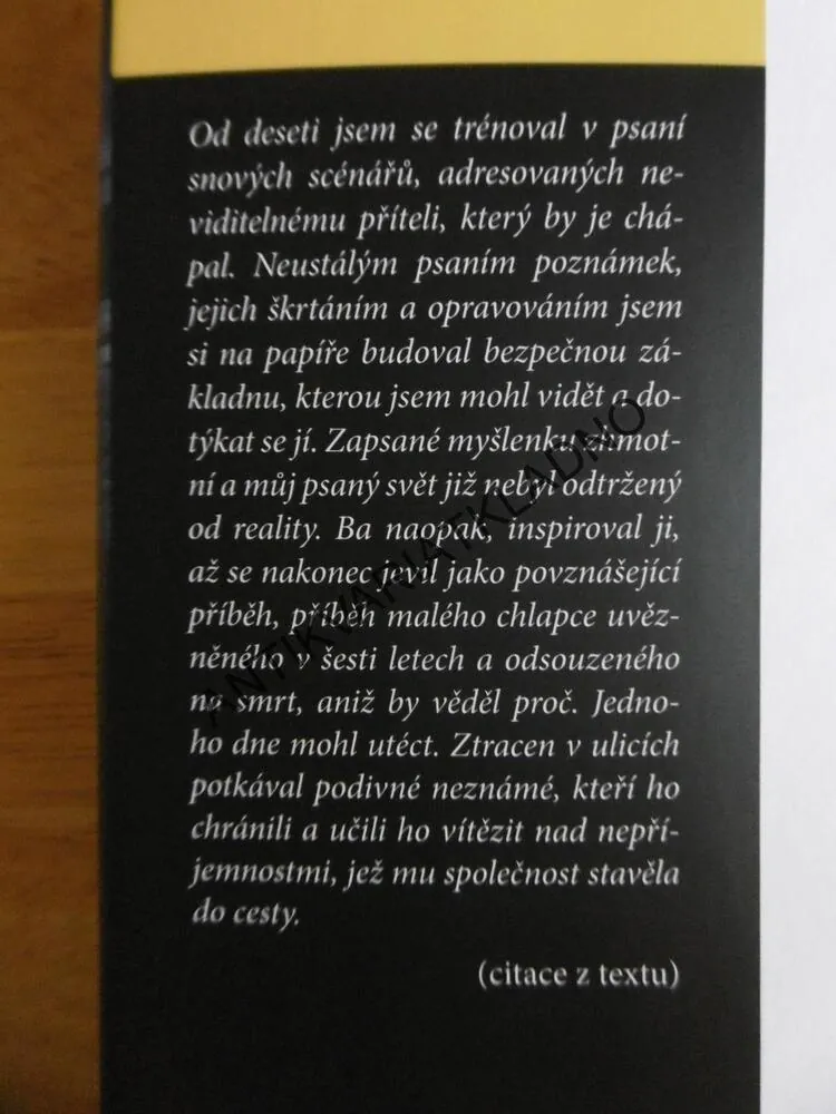 V NOCI JSEM PSAL O SLUNCI, BORIS CYRULNIK, **an