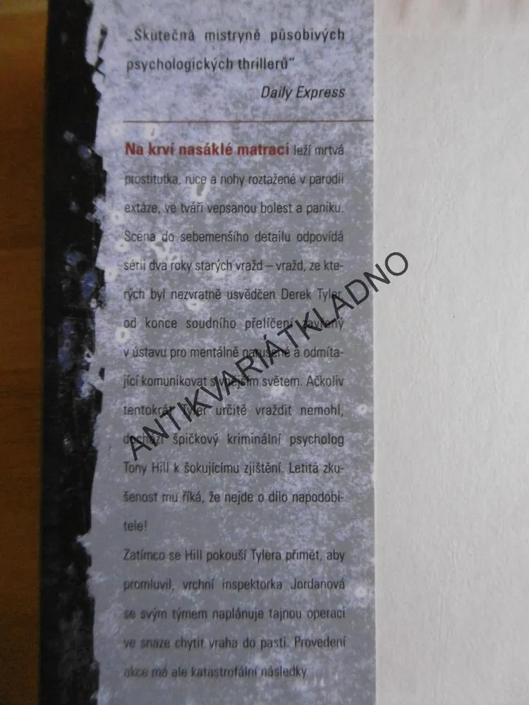 UTRPENÍ JINÝCH, VAL MCDERMIDOVÁ, **an