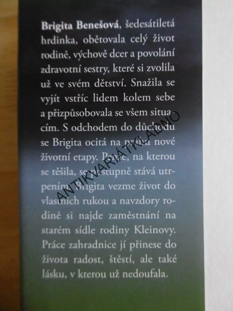 BRIGITA, HANA REBEKA ŠIANDER, **an