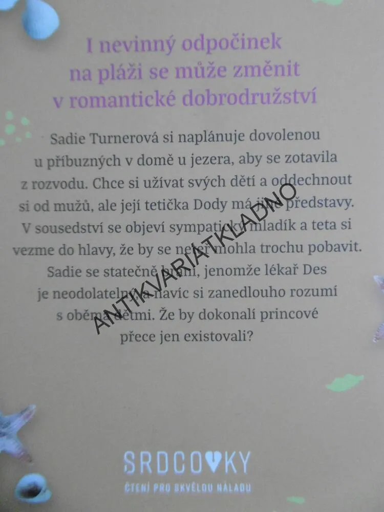 NĚCO JAKO LÁSKA, TRACY BROGAN, **an