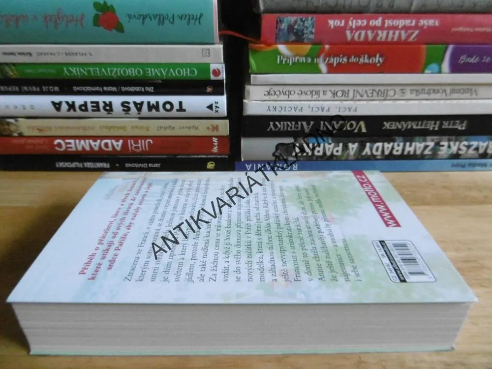 SKRYTO V PAŘÍŽI, CORINE GANTZ, **an