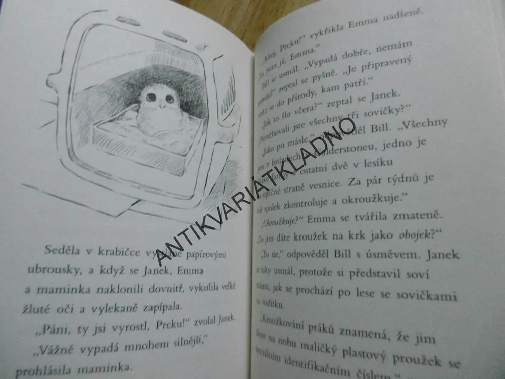 ZACHRÁNĚNÁ SOVIČKA, PŘÍBĚHY SE ŠŤASTNÝM KONCEM, **an